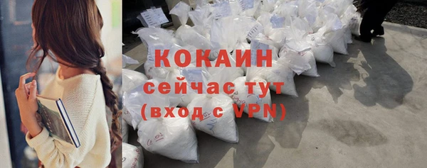 шишки Баксан