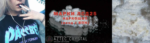 шишки Баксан