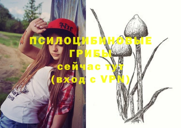 молекула духа Балабаново