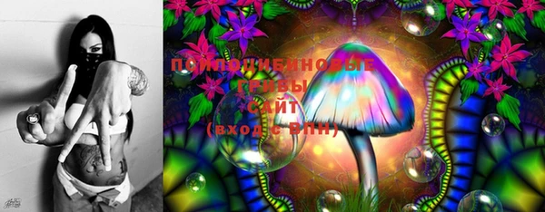 шишки Баксан