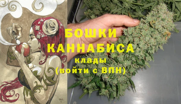 шишки Баксан