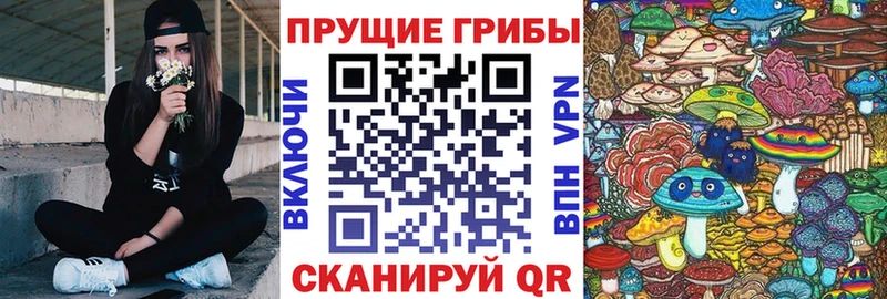 даркнет какой сайт  omg зеркало  Галлюциногенные грибы мухоморы  Фатеж  дарнет шоп 
